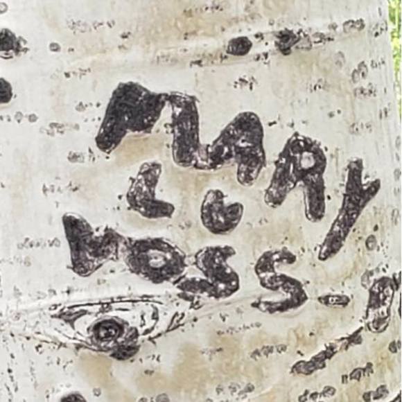 marywinkler385